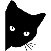 Resim Kedi Sticker 30 X 39 Cm 