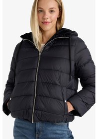 Resim Defacto Su Geçirmez Regular Fit Kapüşonlu Suni Kürk Astarlı Mont F2145ax25wnbk27 Siyah-bk27 