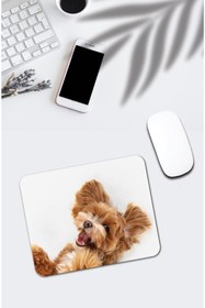 Resim pixolog Sevimli Maltipoo Mouse Pad 938 