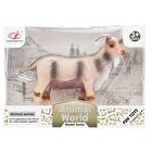 Resim Animal World Dağ Keçisi 