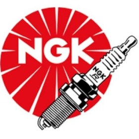 Resim Ngk Iridium Buji - Gr9dı-8 Rotax 
