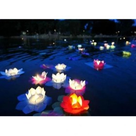 Resim Mevafa Nilüfer Su Çiçeği Su Feneri 