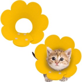 Resim Evcil Hayvan S Boy Keçe Elizabeth Yakalığı 