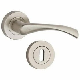 Resim Kapı Kolu Pırlanta Rozetli Nikel Saten Wc 