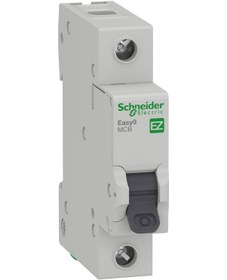 Resim Schneider Electric Easy9 Mcb Ez9F43132 32A Sigorta (1P, 3Ka, C Eğrisi) 