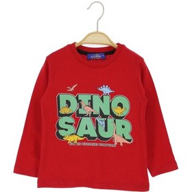 Resim Crassi Erkek Çocuk Sweatshirt Yazılı Bordo 