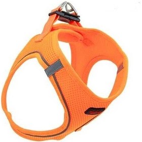 Resim Tailpetz Air Mash Harness Göğüstasması Neon Turuncu Large Turuncu 