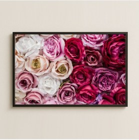 Resim Pembe Ve Kırmızı Gül Karışımı Çiçek Duvarı Pleksi Tablo 