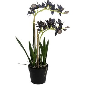 Resim Mikasa Moor P282.356460 Mor Yapay Vanda Orkide 61cm 