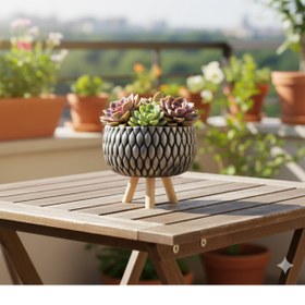 Resim Alba Home Decor Ahşap ayaklı Sukulent kaktüs arajman saksı 