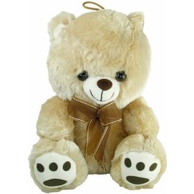 Resim Pabx21957-20 Peluş Ayı Kurdelalı 20 Cm -vardem 