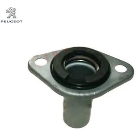 Resim Prizdirek Burcu Boxer Peugeot 