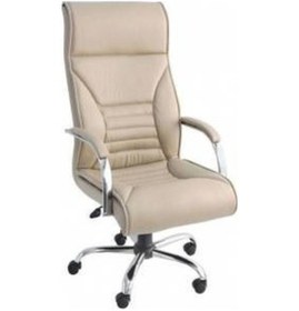 Resim Makam Koltuğu Müdür Koltuğu Ofis Bilgisayar Koltuğu 