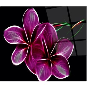 Resim Olinpa Cam Ocak Arkası Koruyucu | Çiçek 