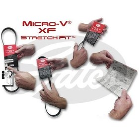 Resim Gates 6pk831sf Kanallı Kayıs Ford Transıt 2.0tdc Tdcı 00 06 / Mv Xf Stretch Fıt 