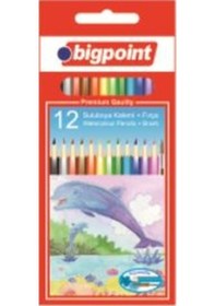 Resim Sulu Boya Kalemi 12 'li Fırça - Bigpoint 