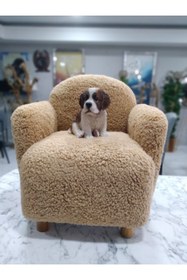 Resim Breda Home Concept Teddy Ahşap Ayaklı Çocuk Bebek Koltuğu Sandalyesi 