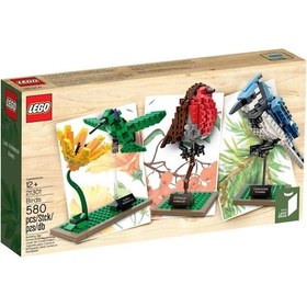 Resim Lego Ideas 21301 Birds 