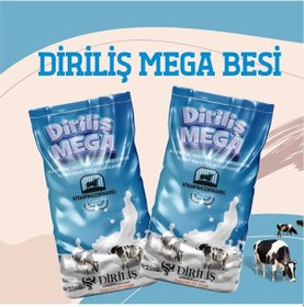 Resim Diriliş Megabesi 25 Kg Yem Katkı 