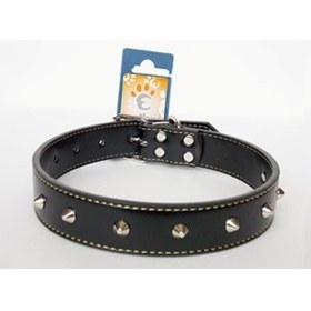 Resim Eastland Metal Aksesuarlı Deri Boyun Tasma 55 CM 