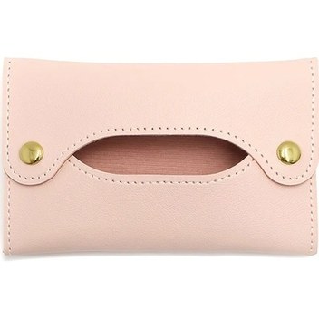 Dashanshop Siyah Mini Mendil Kutusu Araba İçi Saklama Çantası Kamp Barbekü Seyahat