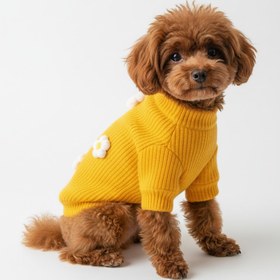 Resim APACCO FİORA SARI KÖPEK KAZAK - 2 