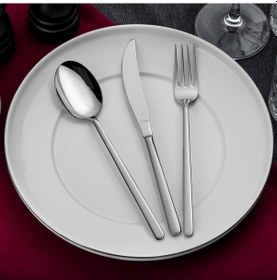 Resim Aryıldız Didim 89 Parça Parlak Çatal Kaşık Bıçak Takımı Kutulu 