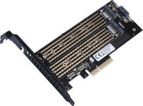 Resim Sata + Nvme M.2 Ssd Pci-E Kartı Dark