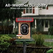 Resim Heapets Güneş Enerjili 2K HD Kameralı Kuş Yemliği Kırmızı 