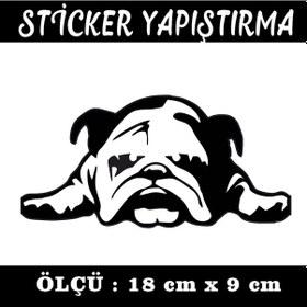 Resim Sevimli Uyuyan Köpek 2 Adet Sticker - Etiket Yapışkanlı 