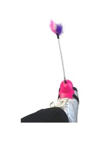 Resim Ayağa Takılan Kedi Oyun Oltası 