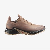 Resim Salomon Kadın Outdoor Ayakkabı Kahverengi L47595100 O.c.o Alphacross 5 Gtx W 