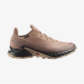 Resim Salomon Kadın Outdoor Ayakkabı Kahverengi L47595100 O.c.o Alphacross 5 Gtx W 