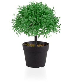 Resim Çiçekmisin Mini Siyah Plastik Saksıda Yapay Fesleğen Ağacı 