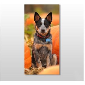 Resim Köpek Kanvas Tablo 40x60cm 