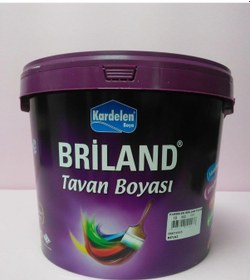 Resim Kardelen Briland Tavan Beyaz 10 KG 