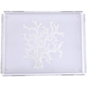 Resim Mercan Desen Tepsi 30 40 Cm Diğer 