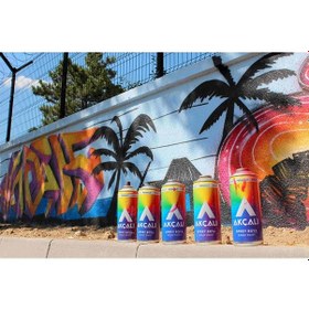 Resim Akçalı Sprey Boya 307 Orta Gri 400Ml 