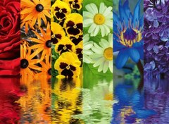 Resim Ravensburger 500 Parça Puzzle Çiçek Yansıma 164462 