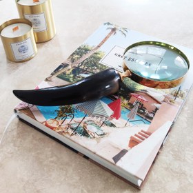 Resim Horn Handle Magnifying Glass 