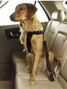 Resim AyrStore Evcil Hayvan Araç Emniyet Kemeri Kedi Köpek Araba Oto Tasması Oto Aksesuarları (MAVİ) 