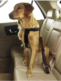 Resim AyrStore Evcil Hayvan Araç Emniyet Kemeri Kedi Köpek Araba Oto Tasması Oto Aksesuarları (MAVİ) 