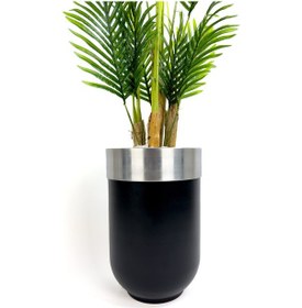 Resim Areka Palmiyesi 160cm Siyah Gümüş Metal Darbuka Saksıda H 