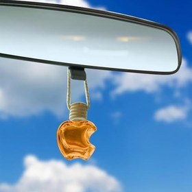Resim Automix Aromagic Asma Şişeli Koku Odunsu | Araç ve Oda İçin Kalıcı ve Ferah Aroma 