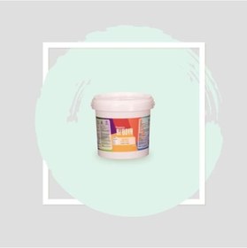 Resim Bi Boya İpek Mat Trendy 0.75 L Nil Yeşili 