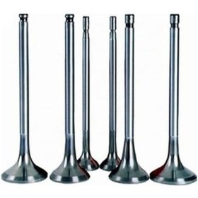 Resim Bmw E34 E36 E46 Takım Subap M43 M73 11341739665 11341739665 