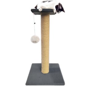 Resim Patiderm Platform Tırmalama Tahtası - Gri 