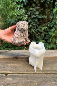 Resim Rufus Concept Pug Köpek Silikon Mum Kalıbı 