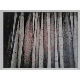 Resim Taç Ince Şeritli Siyah Tül Perde 