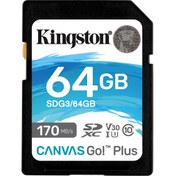 Resim Canvas Go Plus 64GB Class 10 USH-I Hafıza Kartı SDG3/64GB 